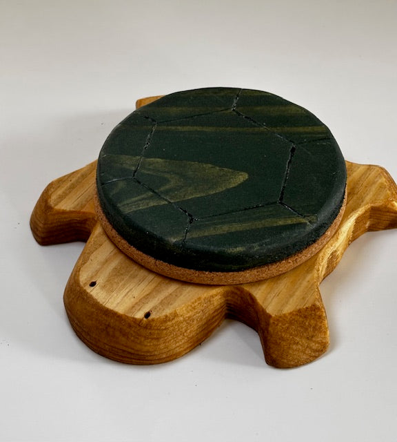 Turtle Coasters