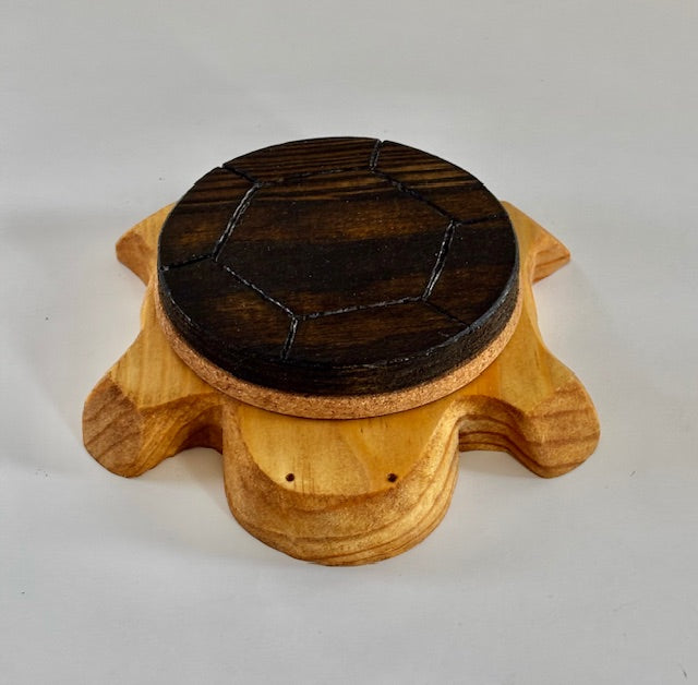 Turtle Coasters